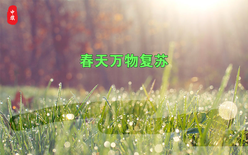春天萬物復(fù)蘇的季節(jié) 春天萬物復(fù)蘇的季節(jié)