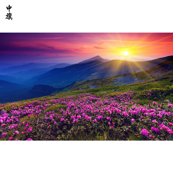 國(guó)內(nèi)旅行社如何守護(hù)你的旅行權(quán)益？