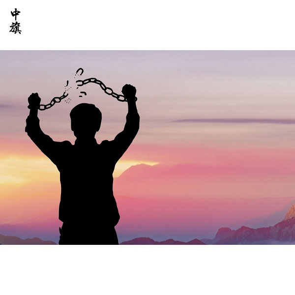 北京自由職業者的日常