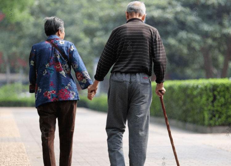 歲數大的老人相互陪伴走了一生.jpg 歲數大的老人相互陪伴走了一生.jpg