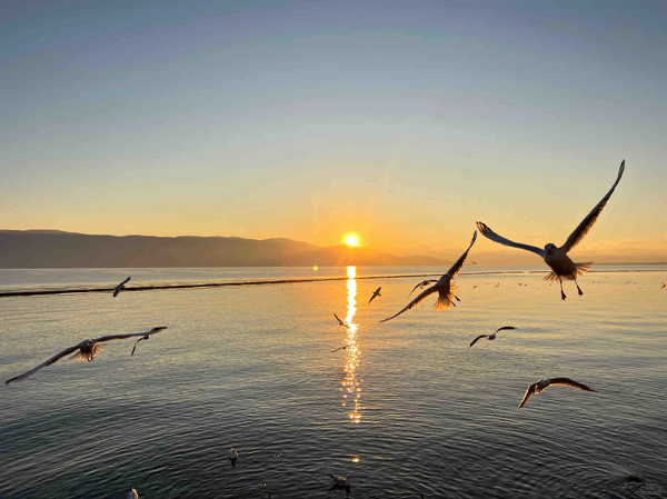 美麗的旅行可以使心情變的非常美.jpg 美麗的旅行可以使心情變的非常美.jpg