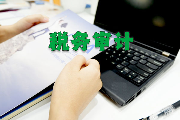 稅務審計示意圖.jpg 稅務審計示意圖.jpg