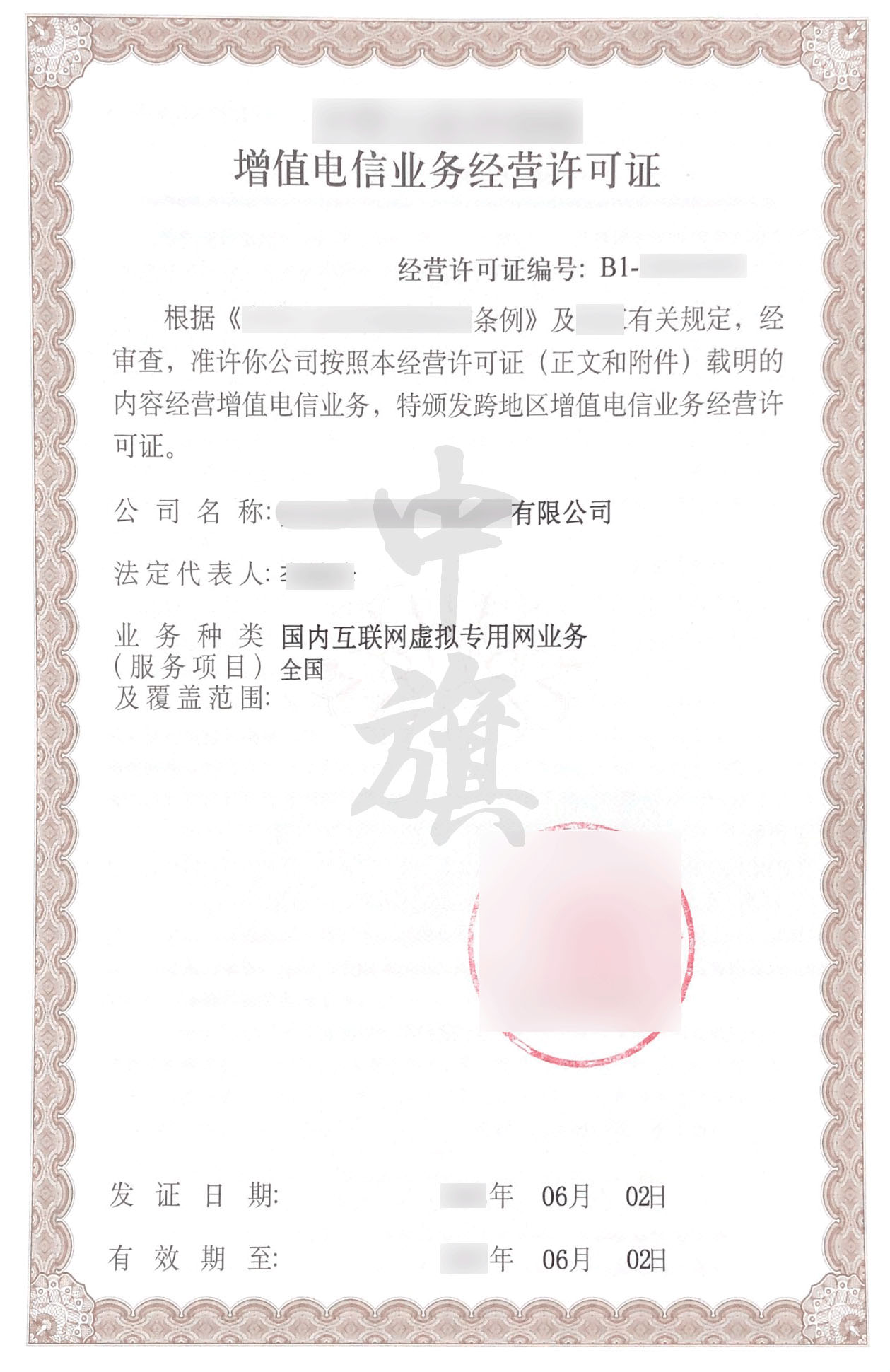 國內互聯網虛擬專用網業務