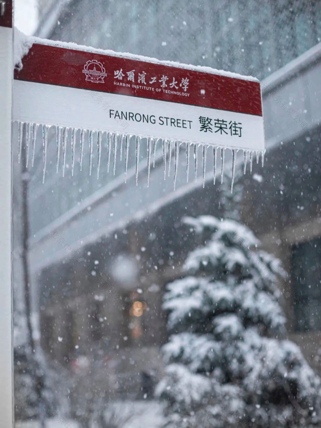 哈爾濱工業大學漂亮吧.jpg 哈爾濱工業大學漂亮吧.jpg