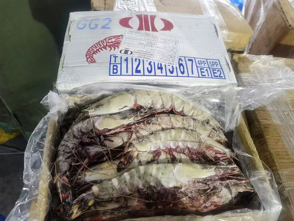 剛到的大蝦.jpg 剛到的大蝦.jpg