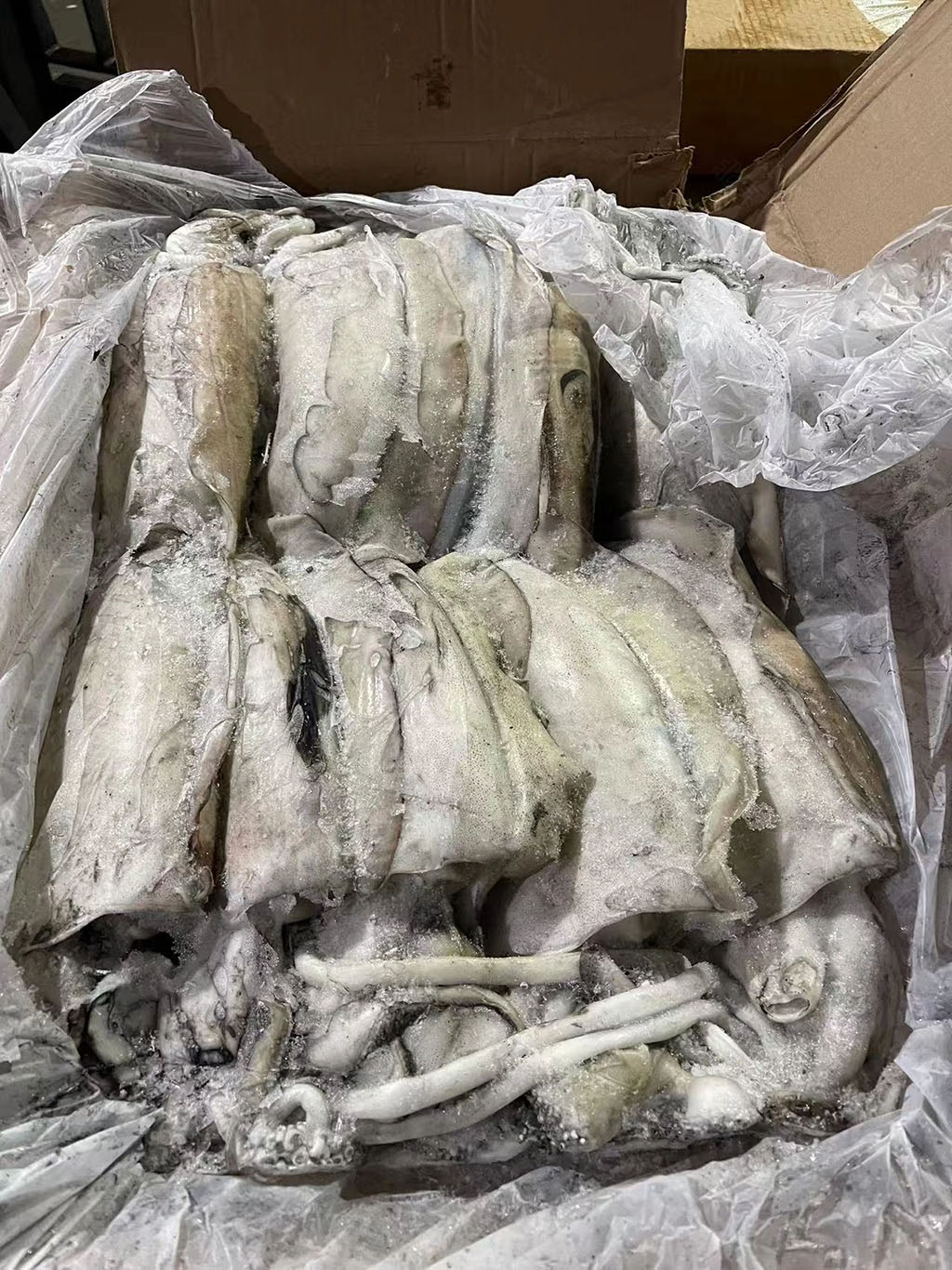 海關進口海鮮.jpg 海關進口海鮮.jpg