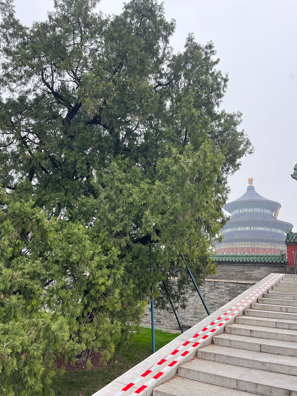 不太會拍照,也沒進去,就在天壇外邊拍的.jpg 不太會拍照,也沒進去,就在天壇外邊拍的.jpg