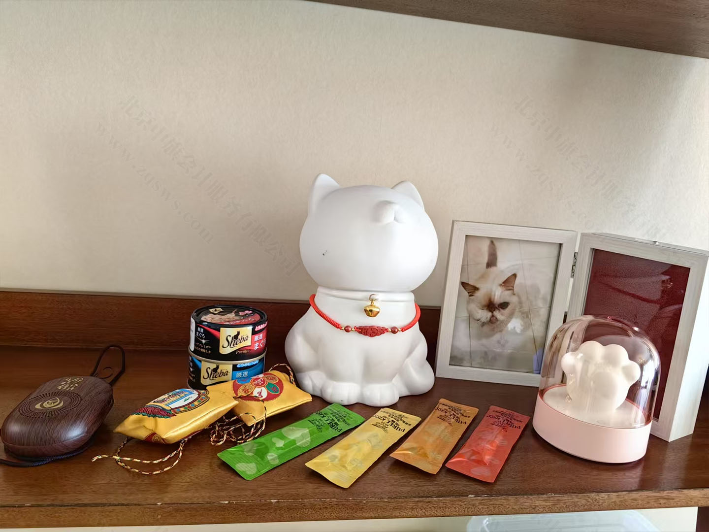 這是一只可愛的小貓.jpg 這是一只可愛的小貓.jpg