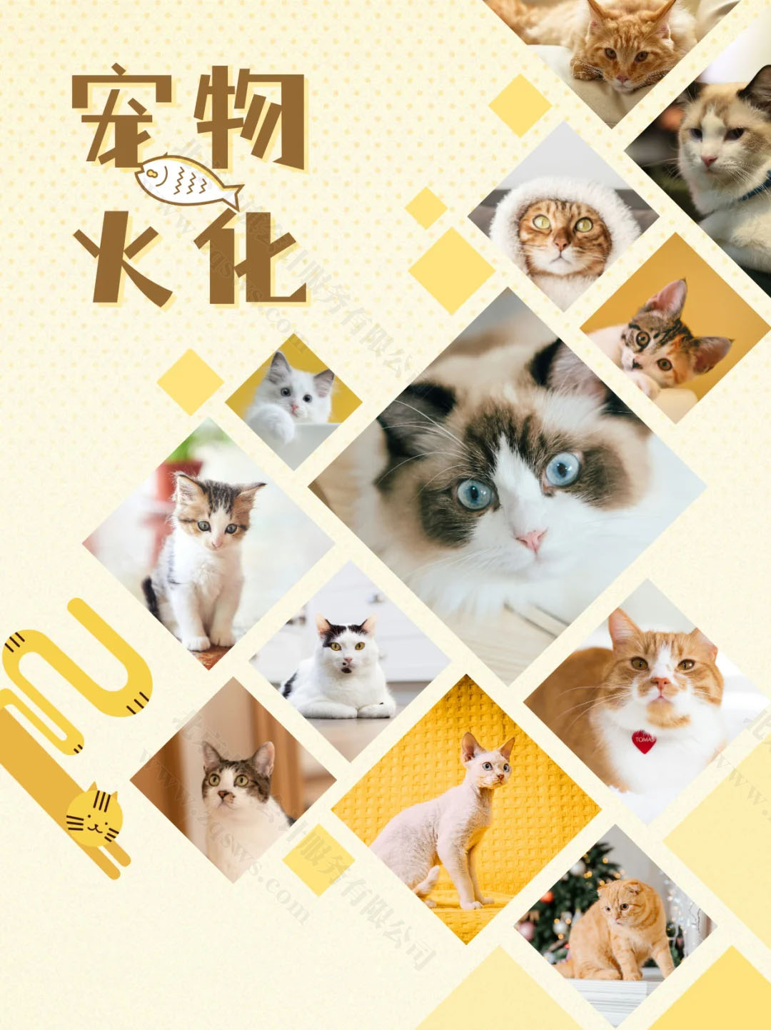 寵物火化.jpg 寵物火化.jpg