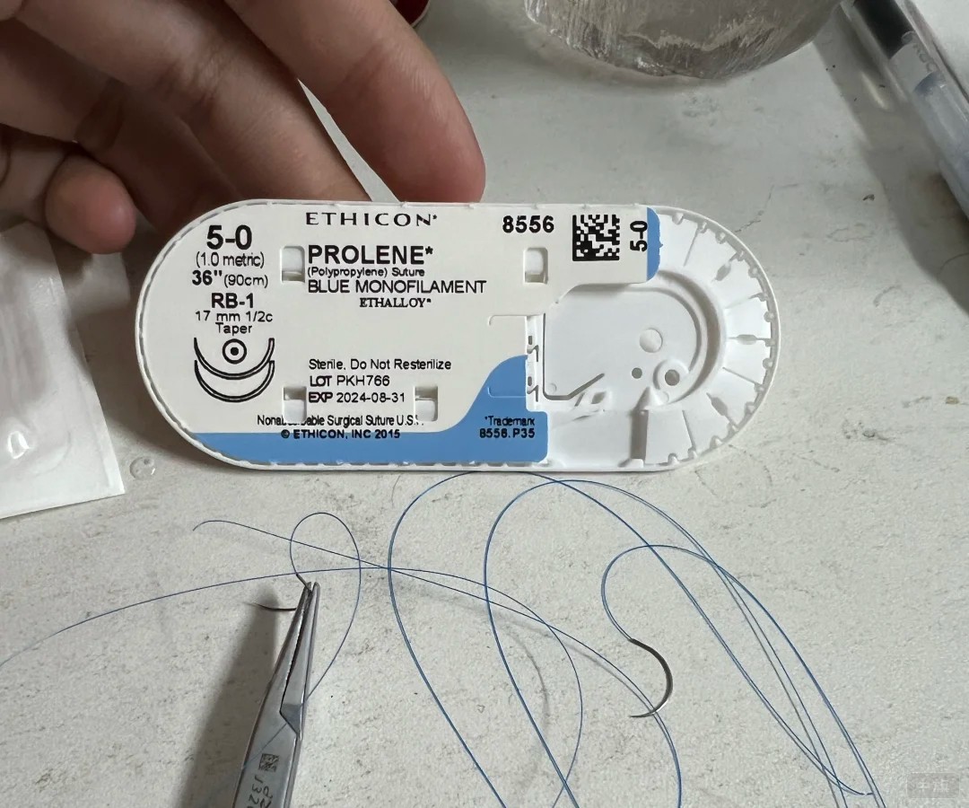 醫用縫合線.jpg