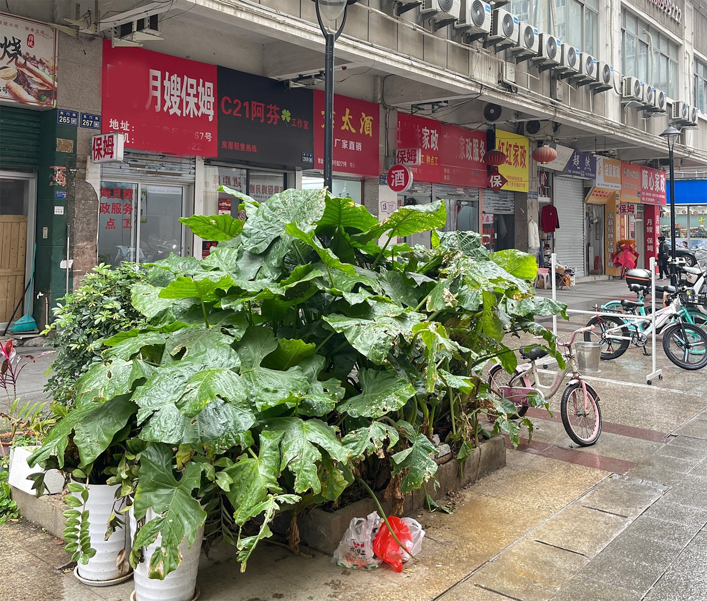 全是家政服務.jpg 全是家政服務.jpg