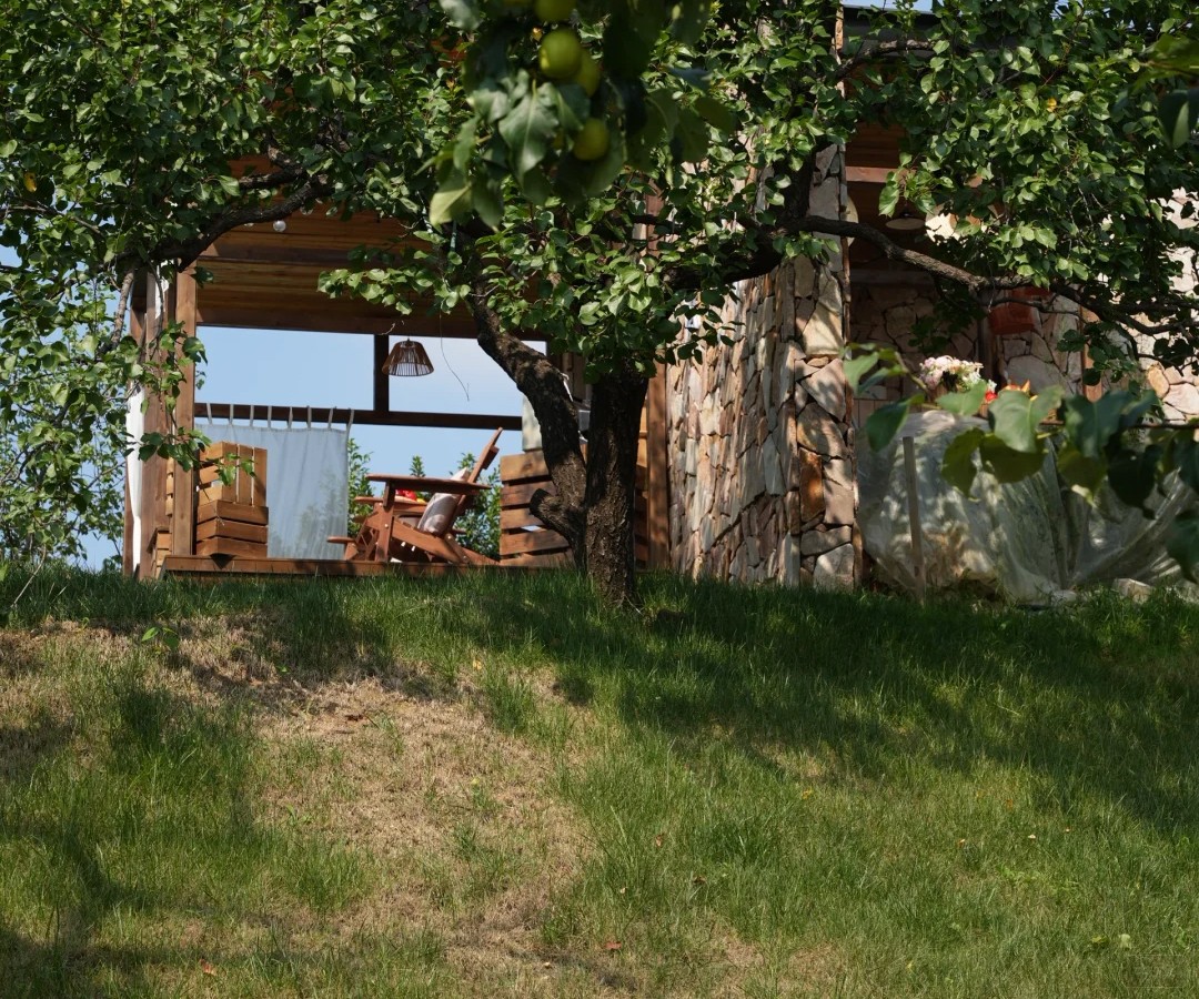 八月初拍的照片民宿照片，外景看著非常舒服