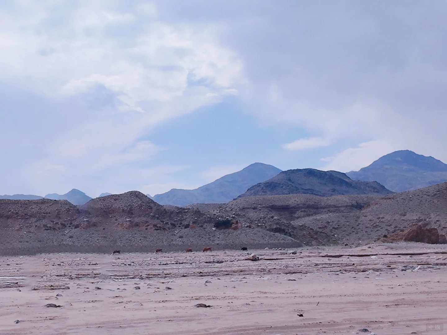 渡陰山這里只能看看風景