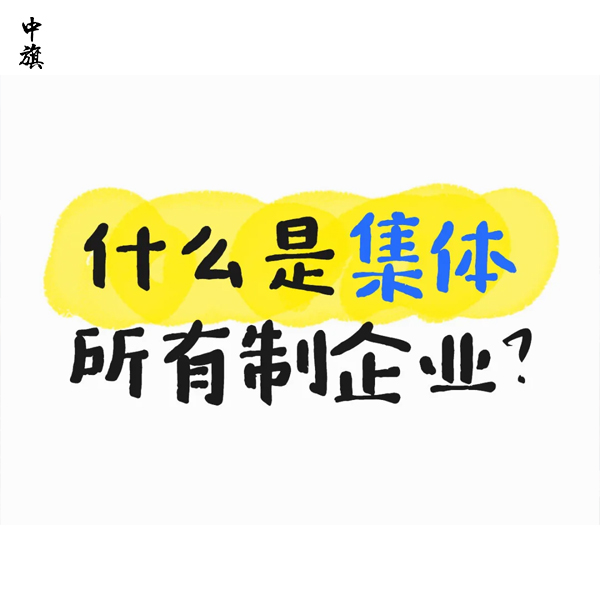 什么是集體所有制企業？