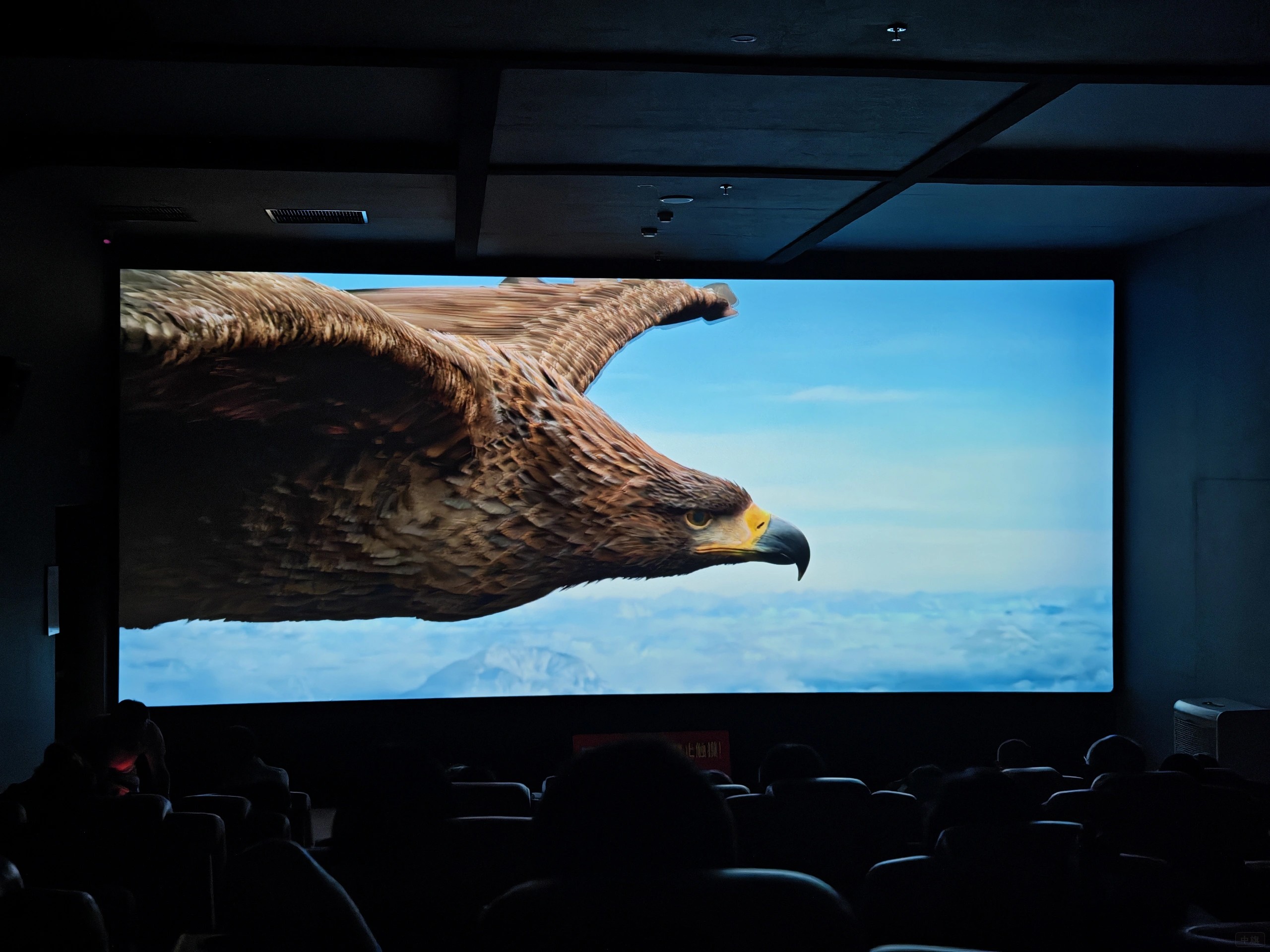 小型影院正在播放電影