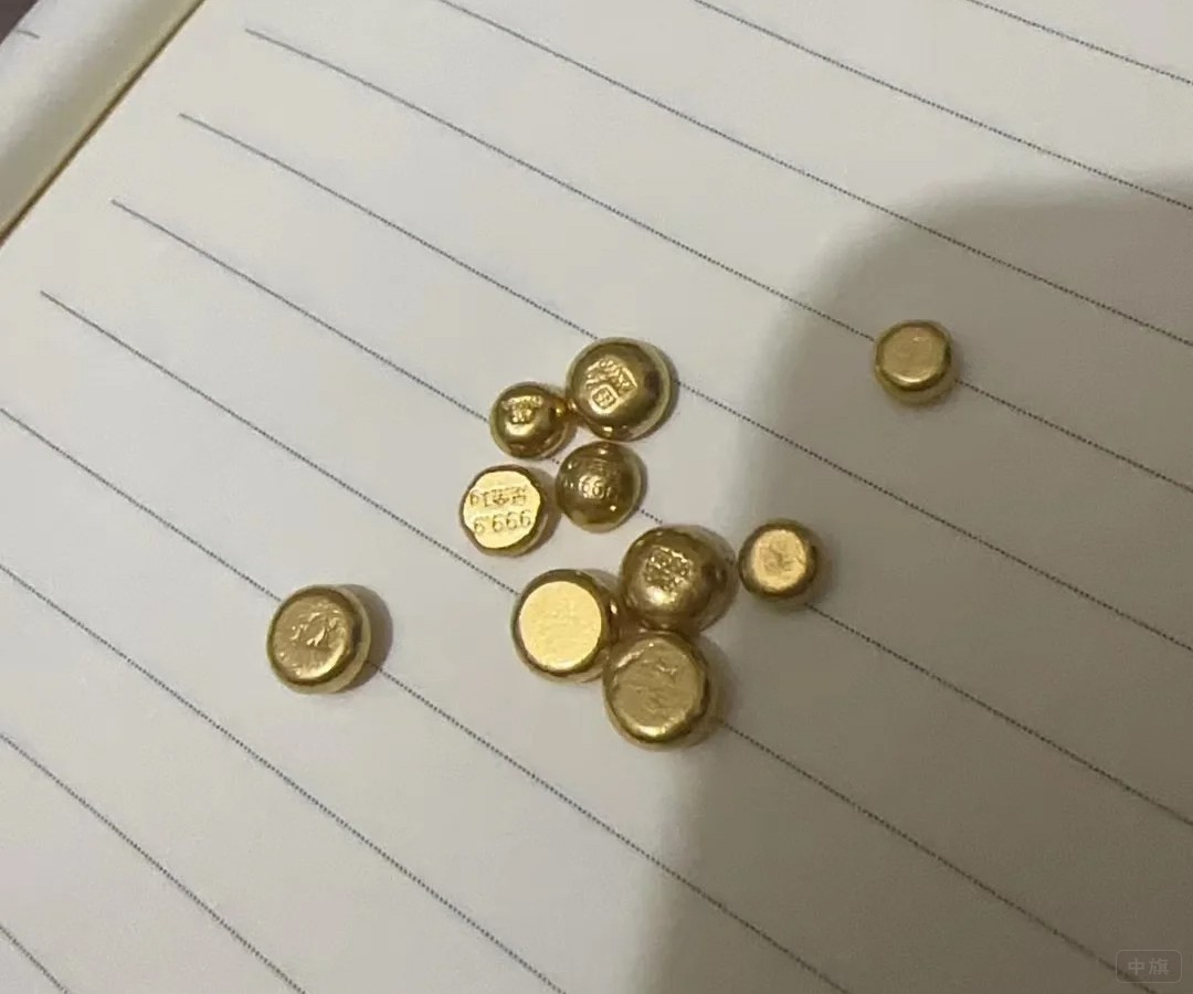 剛買(mǎi)回來(lái)的小金豆