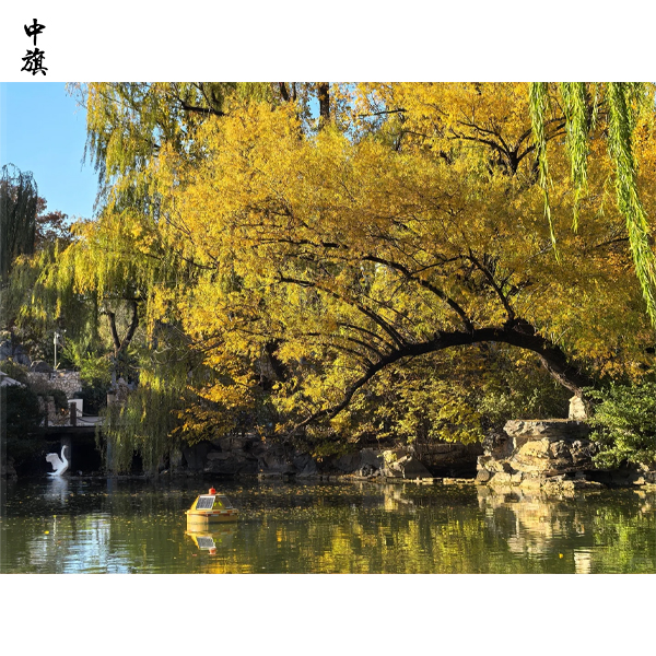 個人能開動物園么？需要哪些條件？